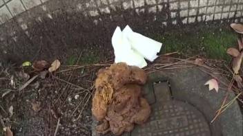 Asian female strolled through the park and defecated beside the wall