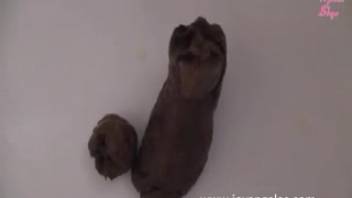 Female defecating in the bathtub